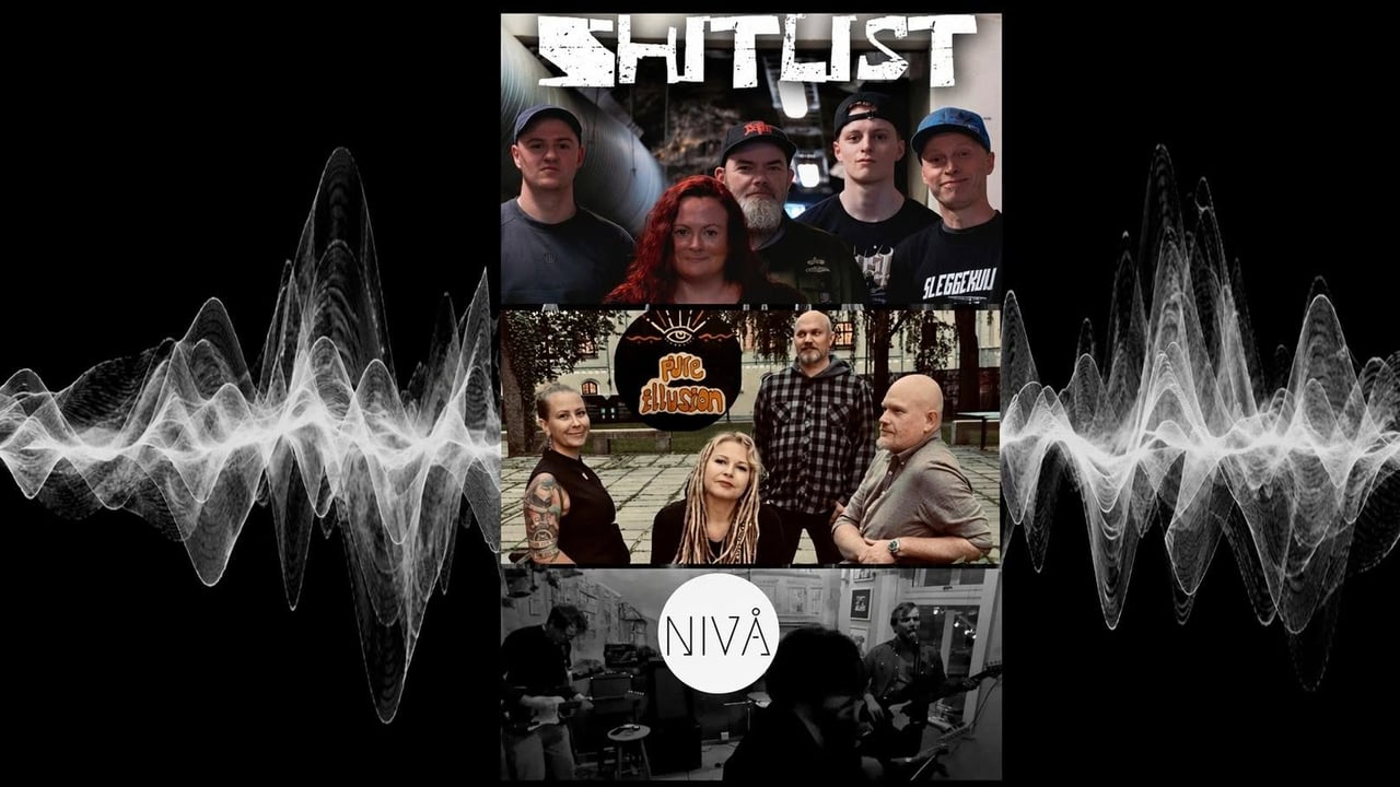 Trippelkonsert med Shitlist, Pure Illusion og Nivå på MIR