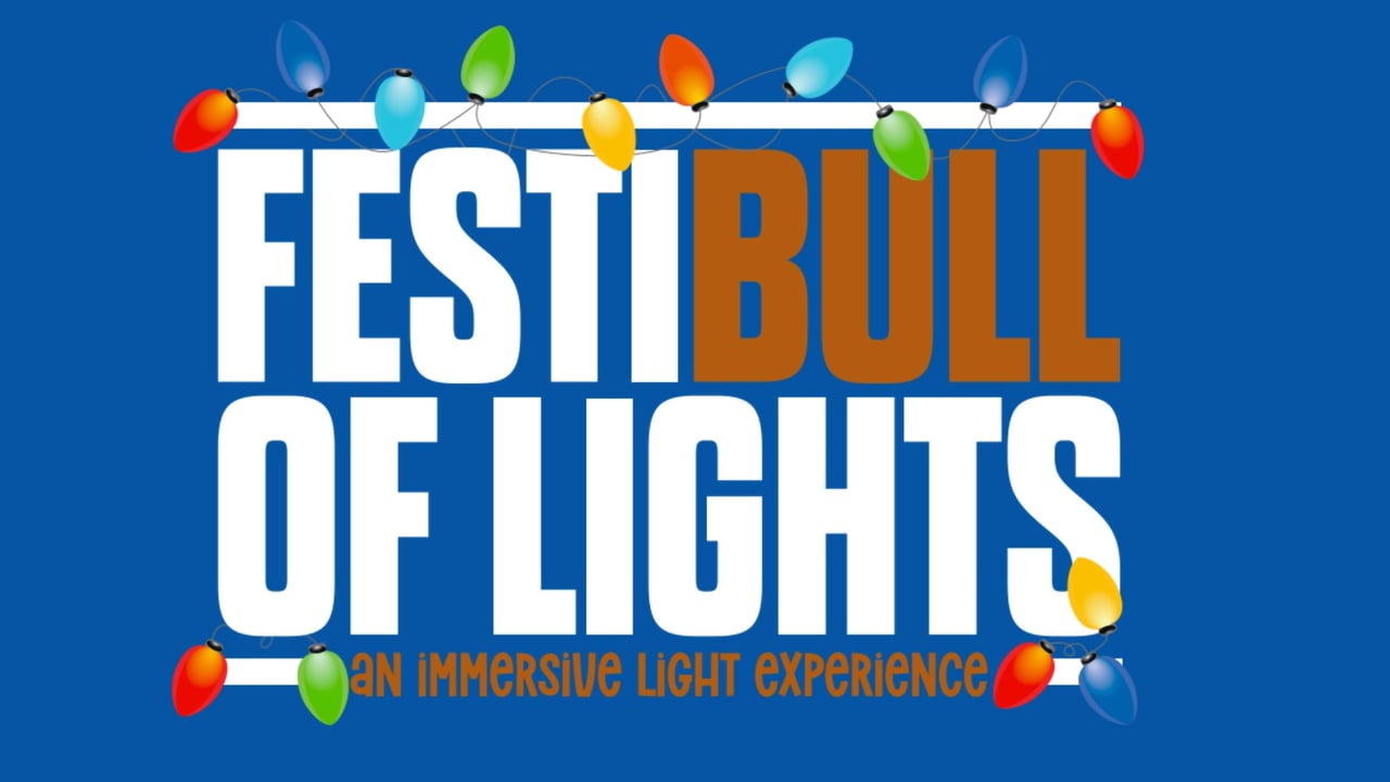 FestiBull of Lights