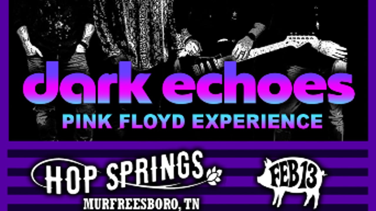 Dark Echoes - Pink Floyd Experience