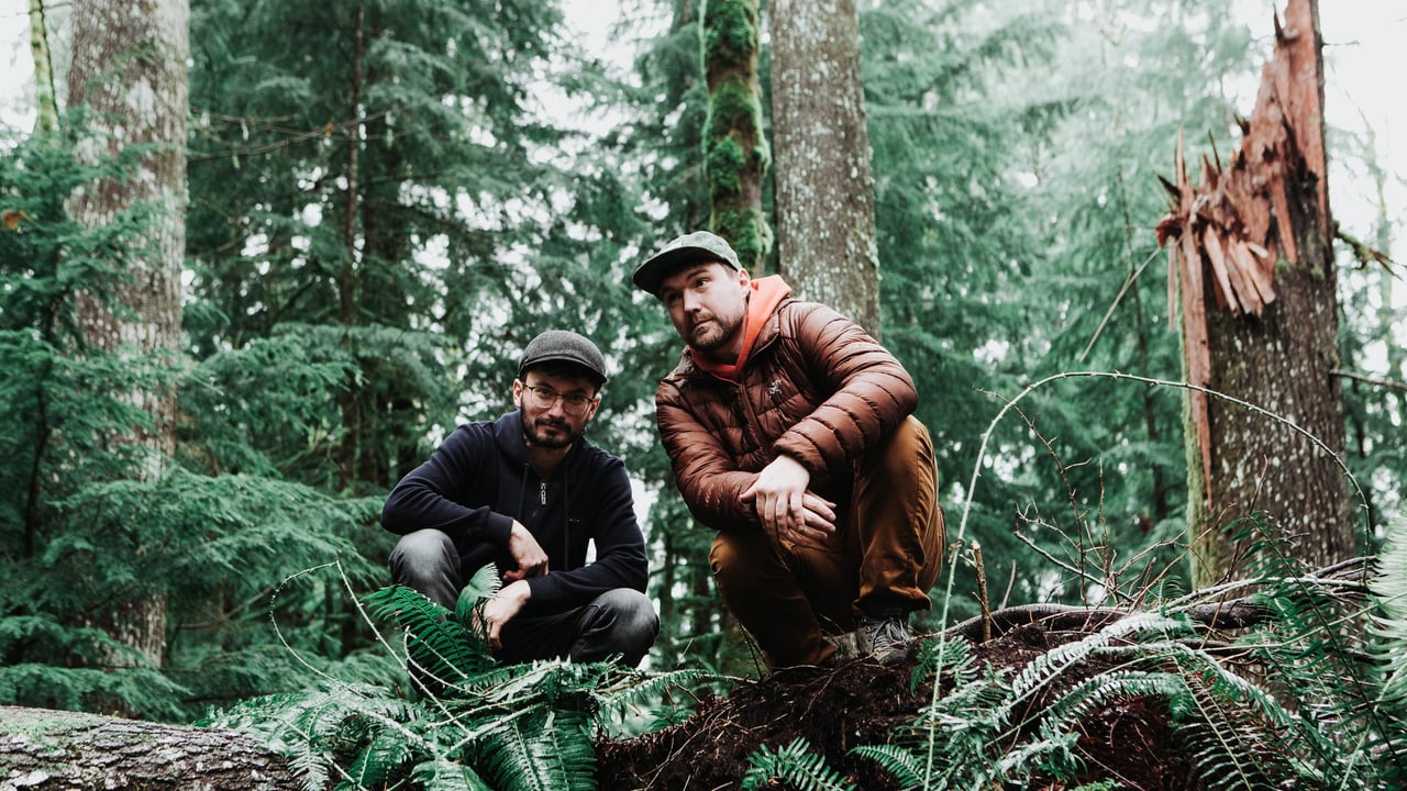 Emancipator - Chrysalis Tour