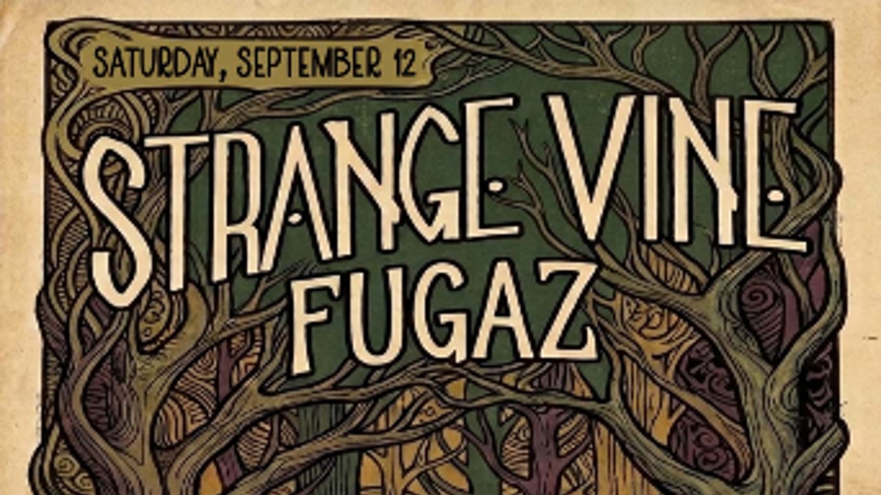 Sound N Vision presents Strange Vine + Fugaz