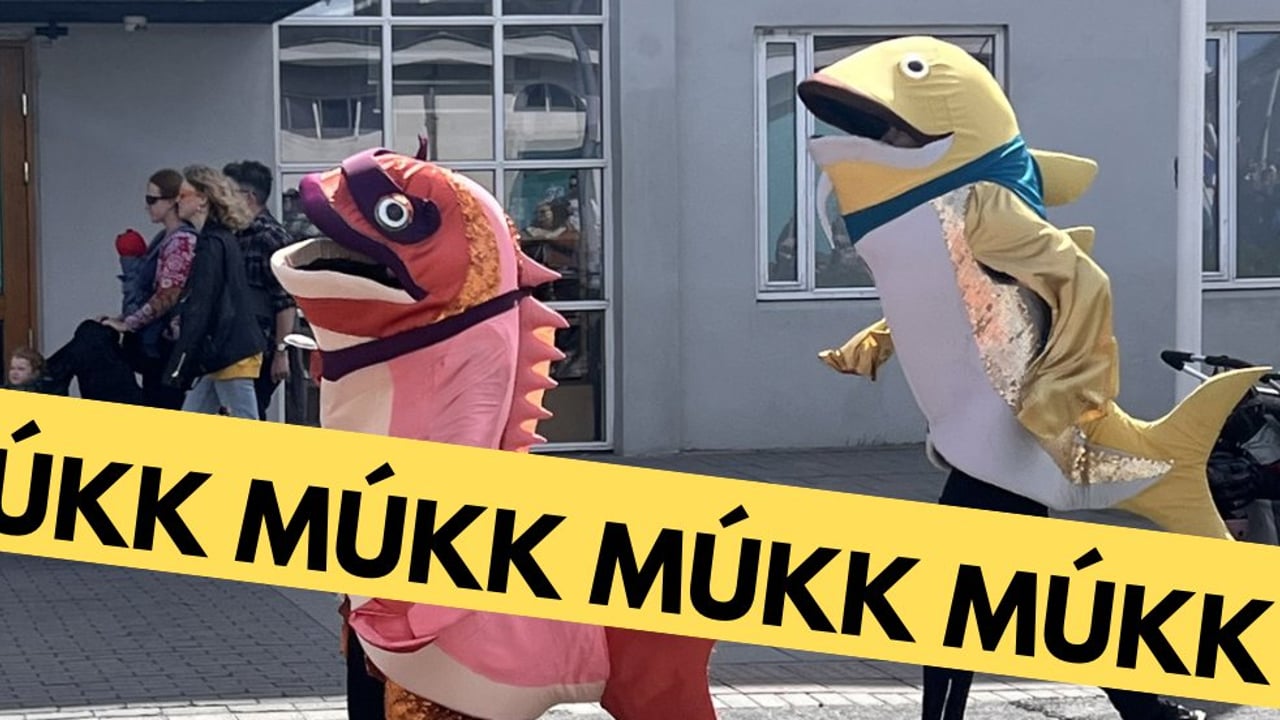 MÚKK's Summer Replacement