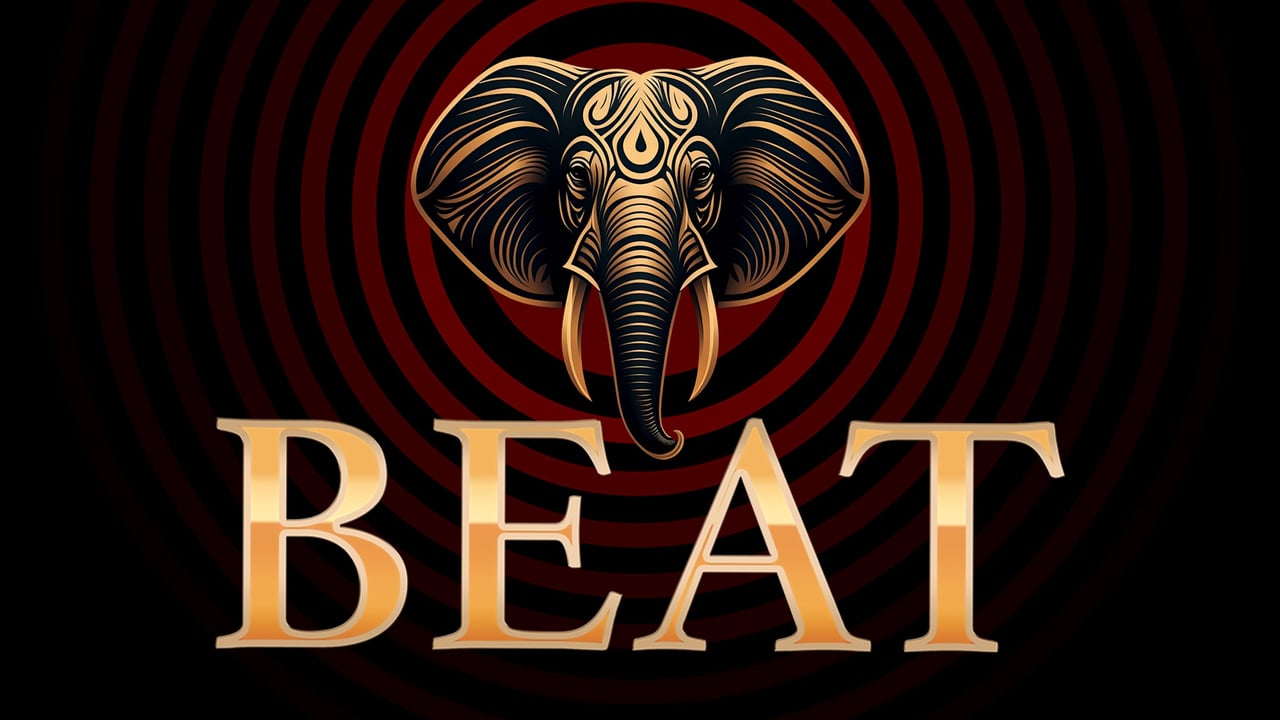 ELMER FOOD BEAT