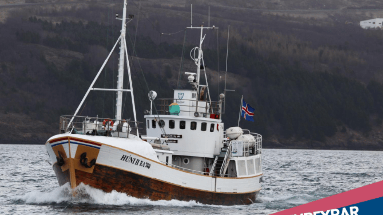 Morgunsigling með Húna II