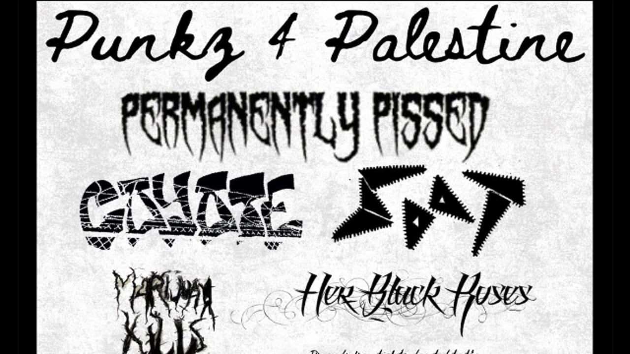 Punks 4 Palestine