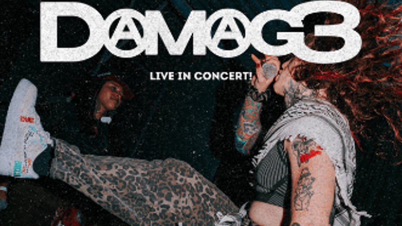Damag3, Film and Gender, Connor Cristi