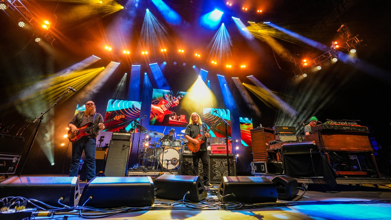 Govt Mule w/ Ziggy Marley