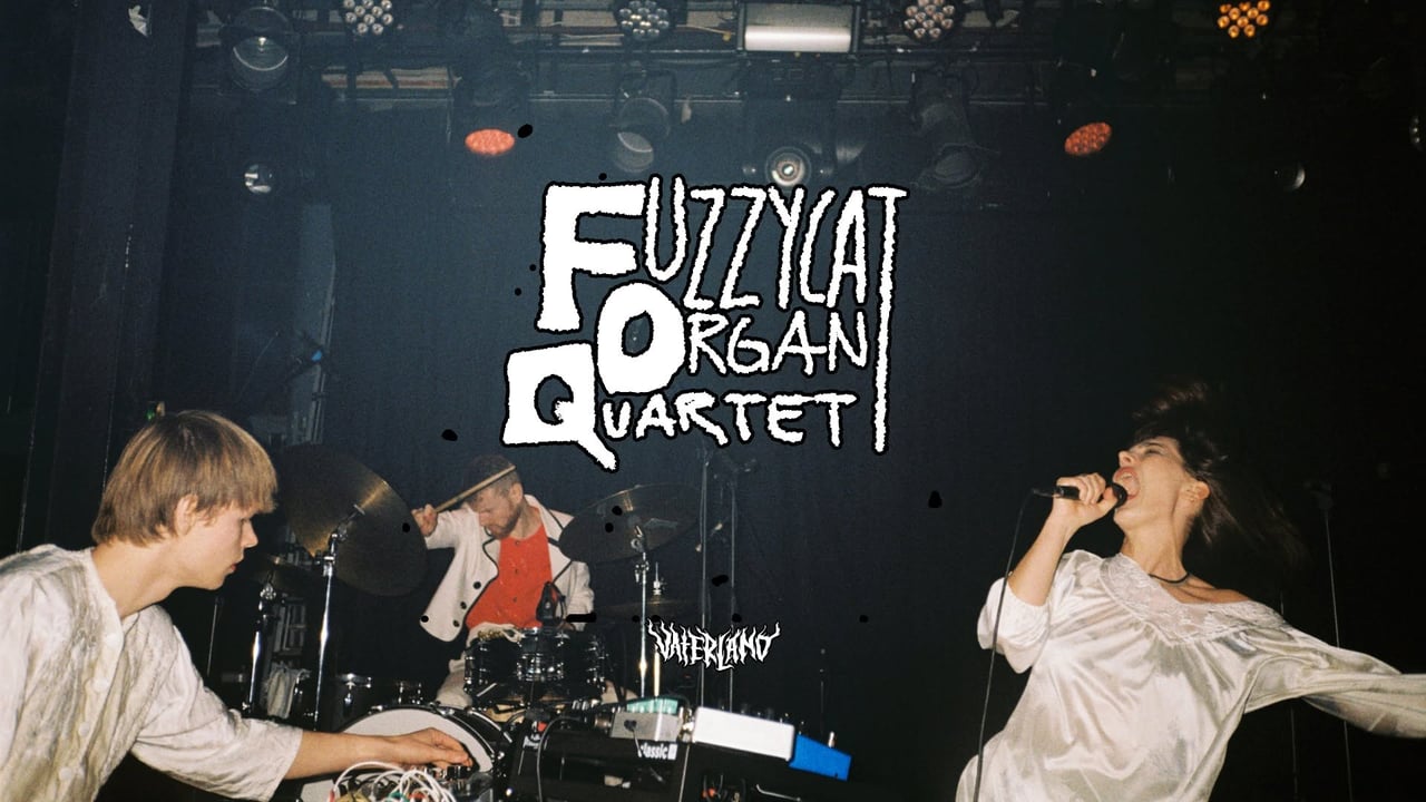 ØYA DJ-SPESIAL: FUZZYCAT ORGAN QUARTET // Vaterland