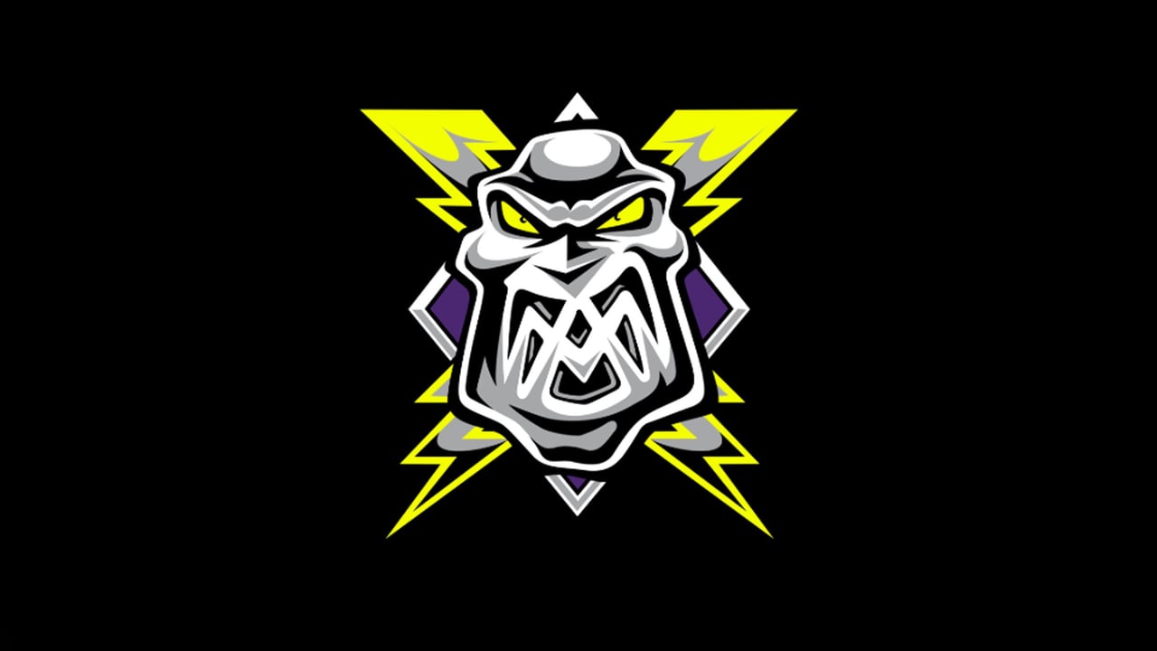 Manchester Storm vs Sheffield Steelers