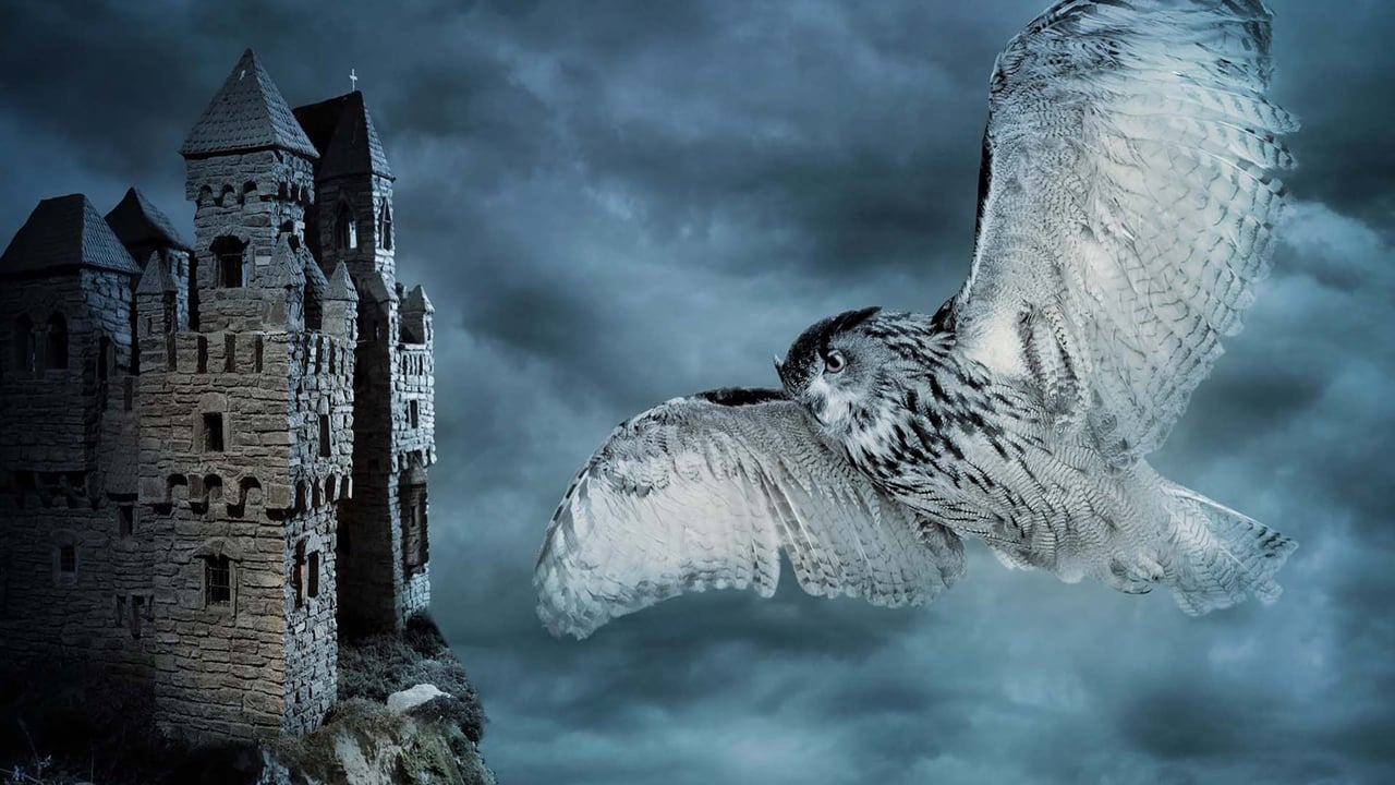 North Carolina Symphony - Halloween At Hogwarts