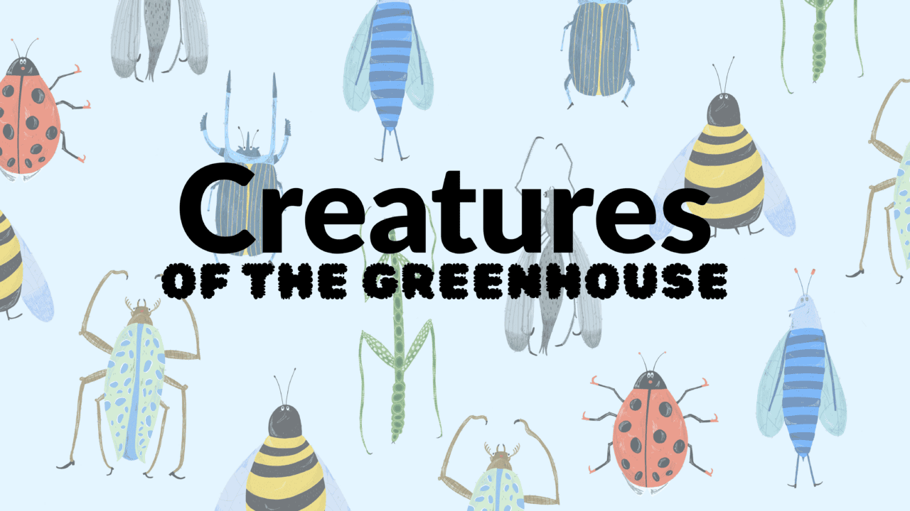Creatures of the greenhouse