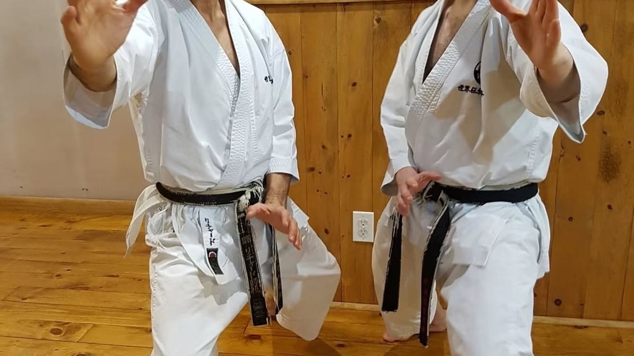 Richard Amos sensei seminar in Iceland 