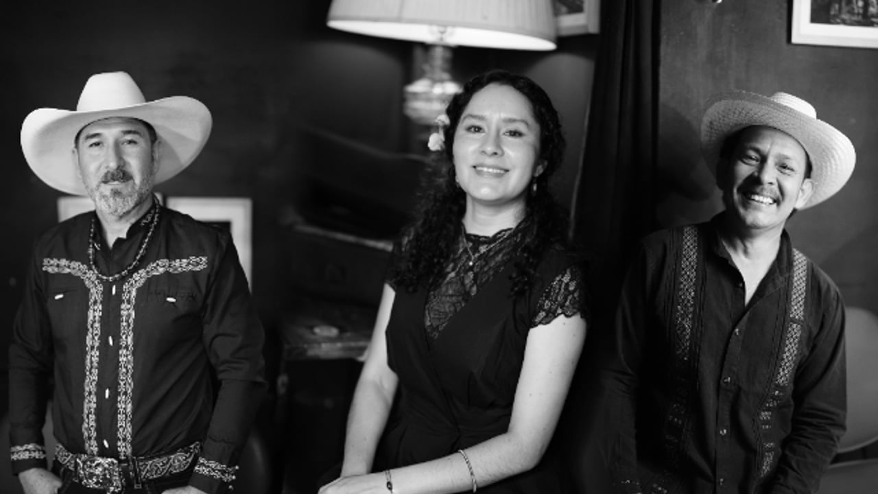 LOS VEGA (SON JAROCHO)
