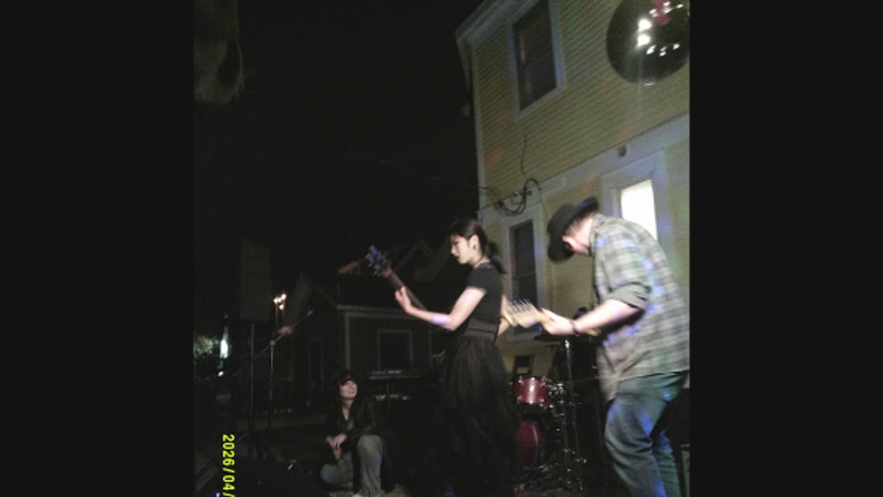 Swan Upon Leda, The Supreme Court Rejects, Carouselle, Puppy Teeth, Lanternfly
