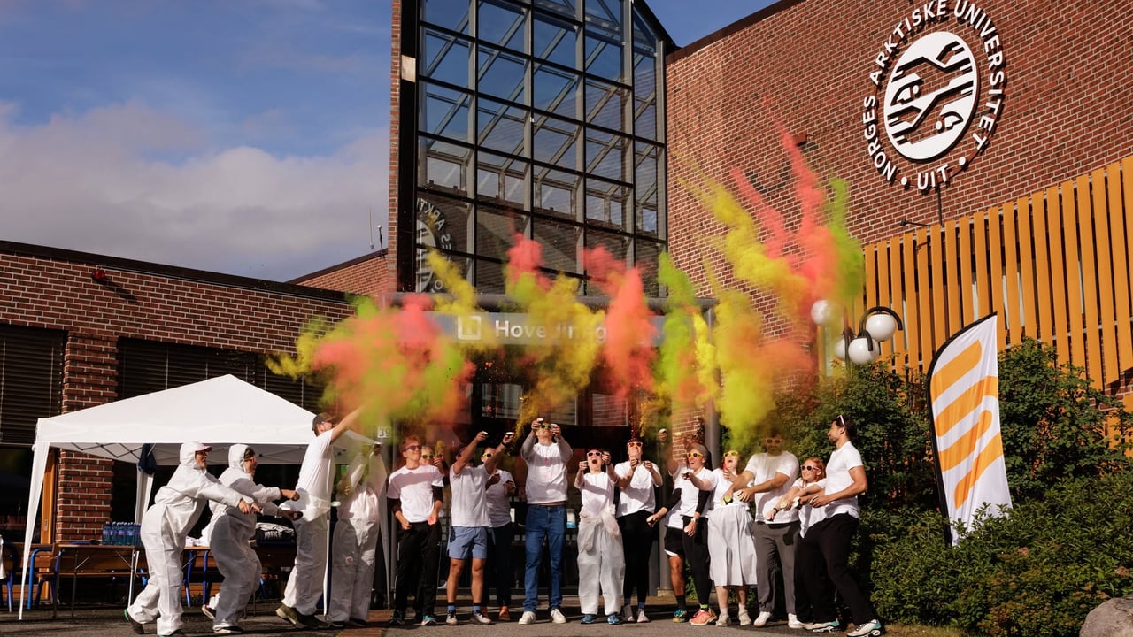 Colour run Alta