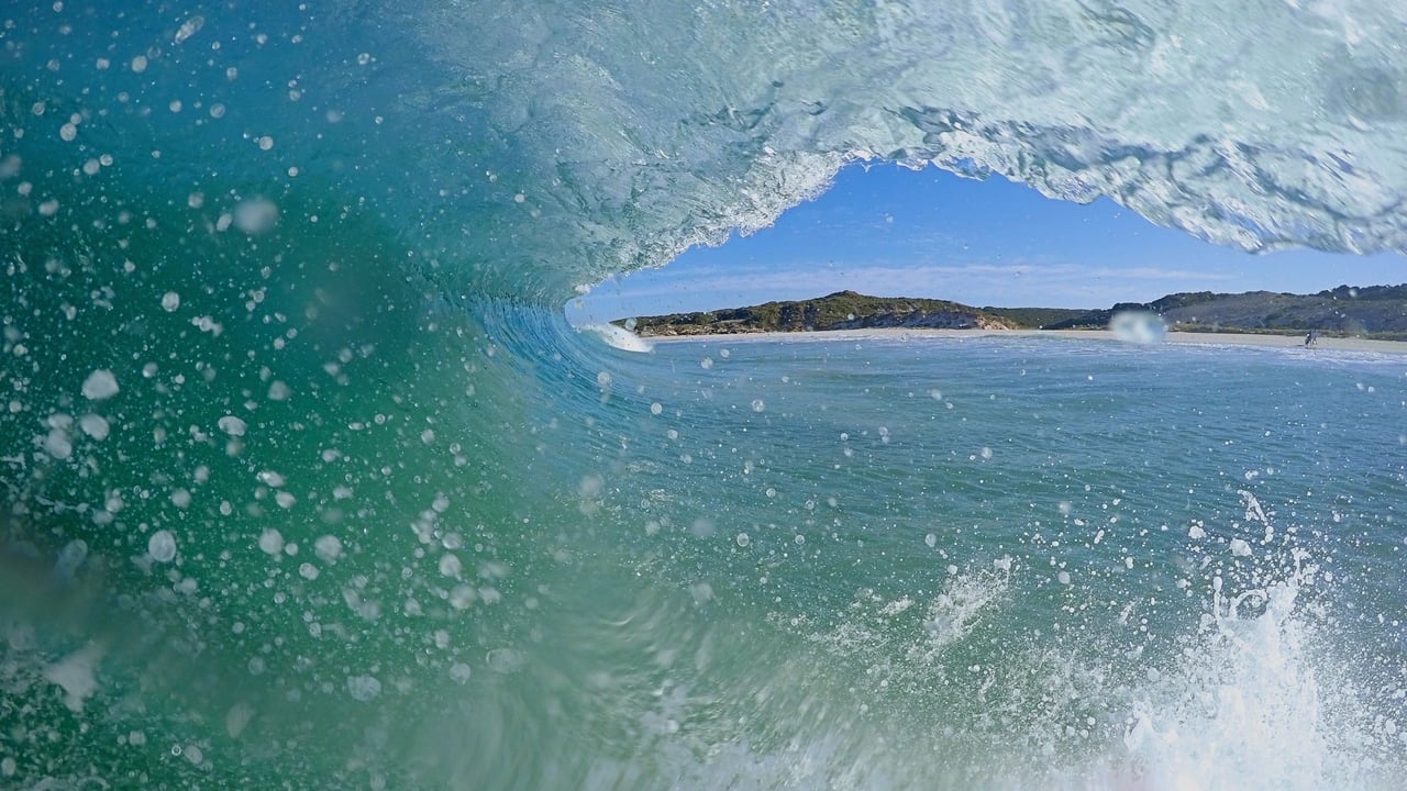FUDO presented by Steko - A Kolohe Andino Film