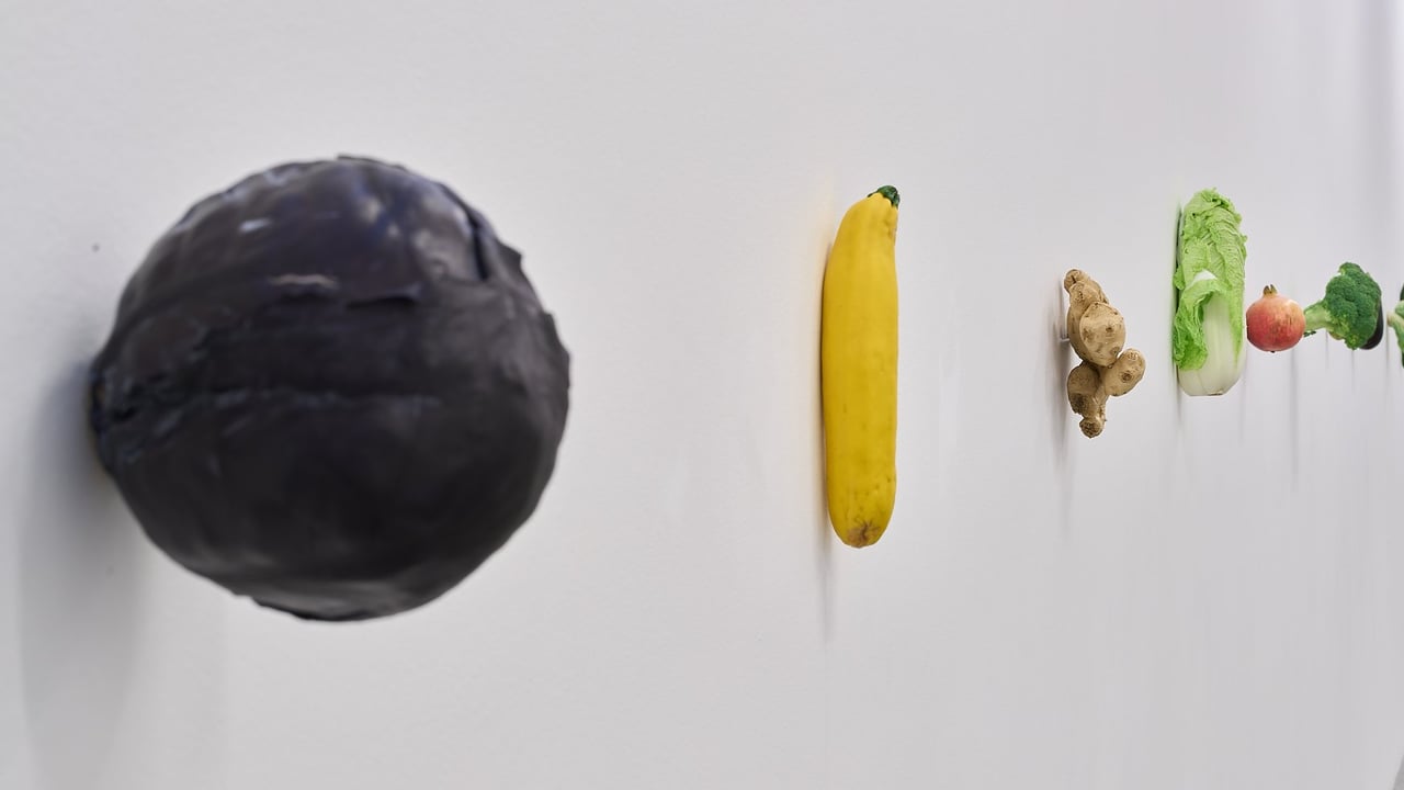 Culture Night | Guided tour of Karin Sander: 1957–2057