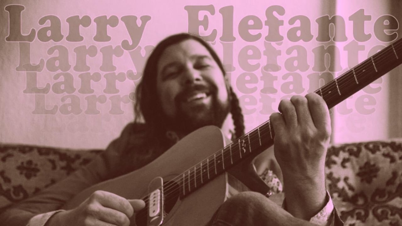 Happy Hour w/ Larry Elefante (SOLO) at Woodlands Tavern