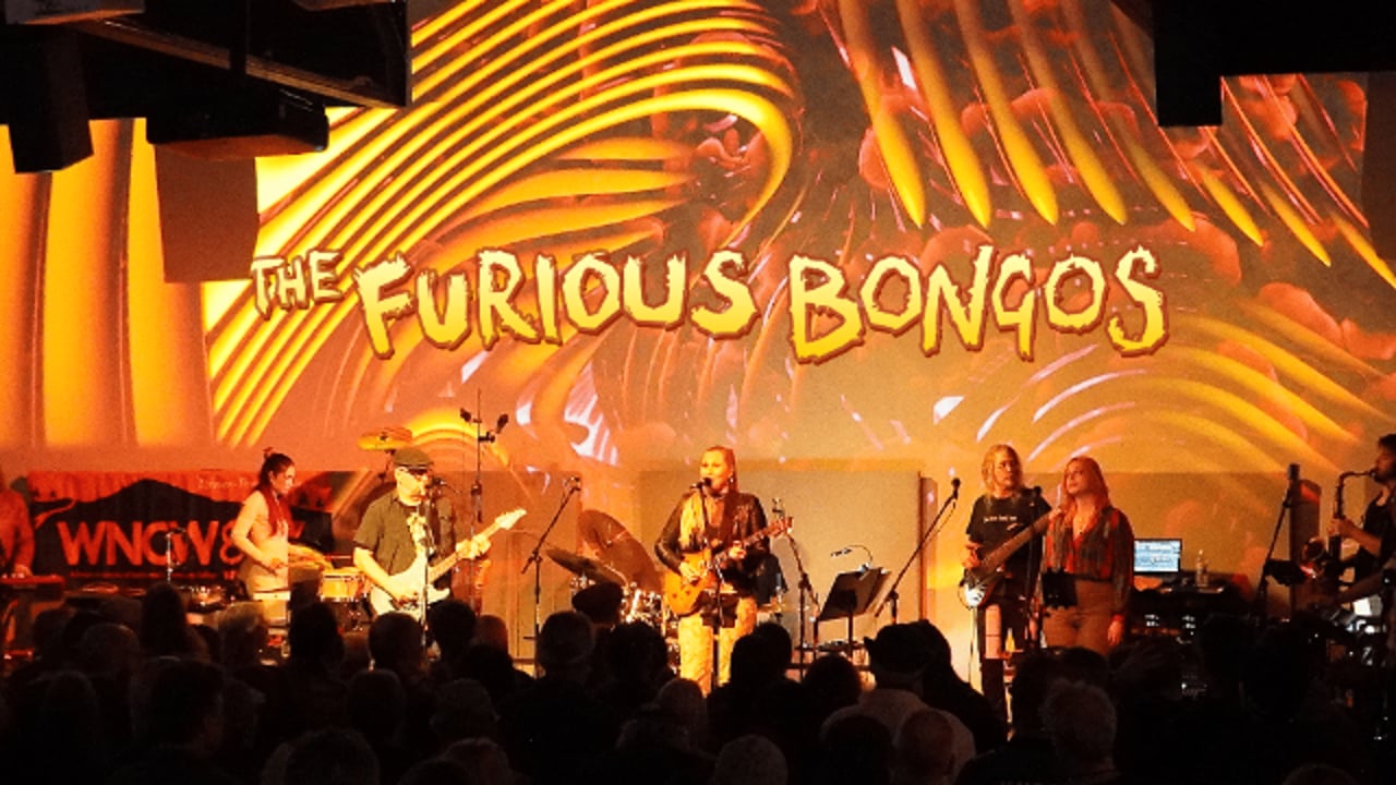The Furious Bongos