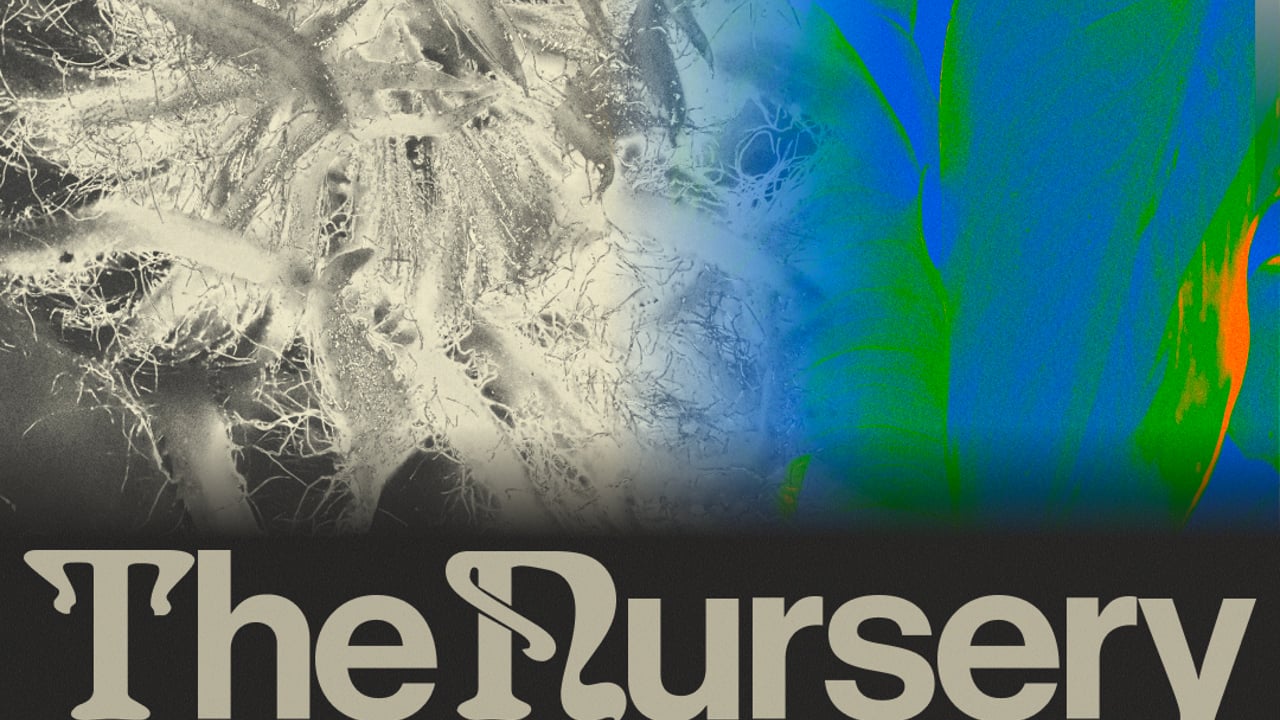 The Nursery: Jump Source, Special Guest