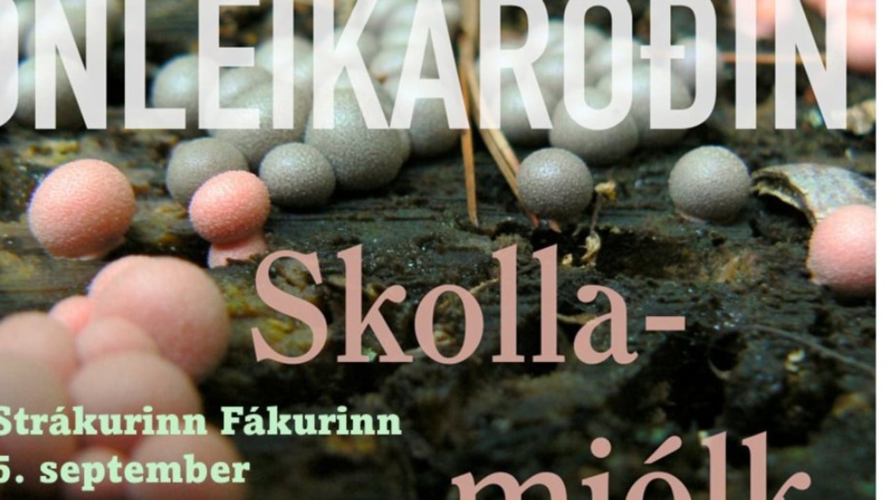 Skollamjólk - Strákurinn Fákurinn