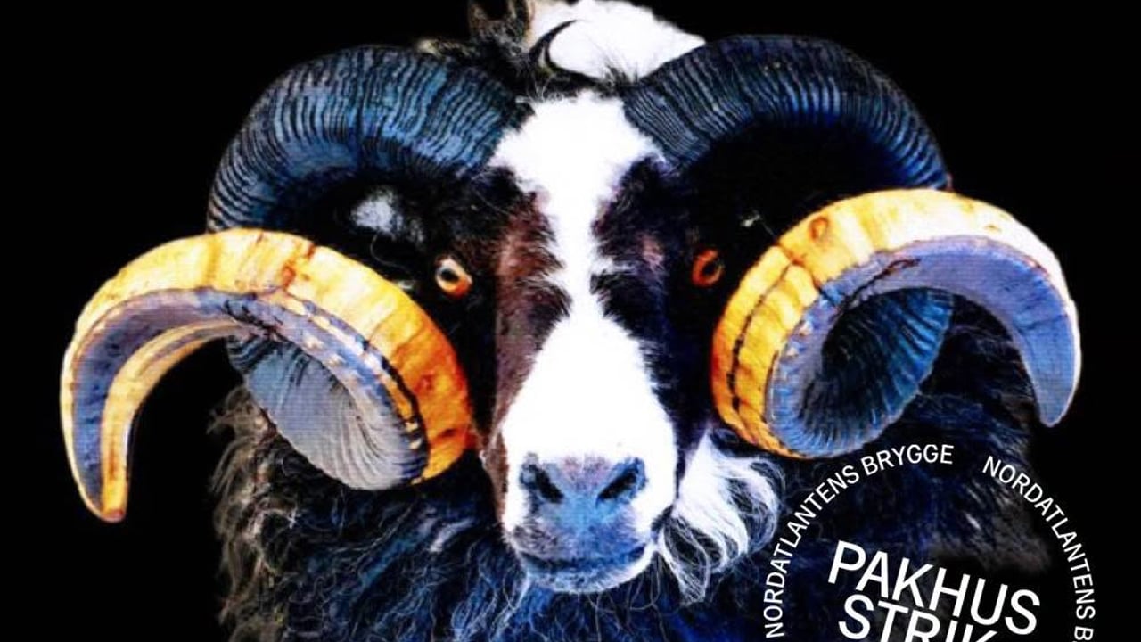 FØRERFÅR / LEADERSHEEP — gratis oplæg ved Daníel Hansen på Pakhusstrik 2026