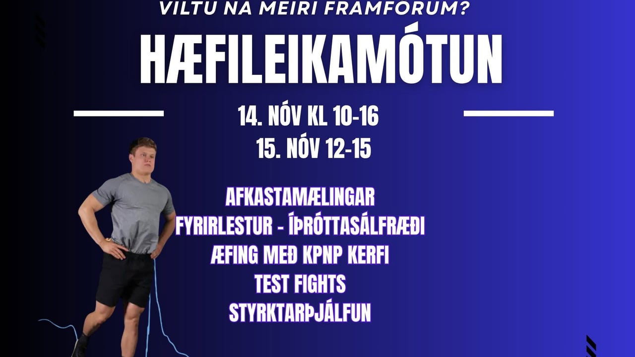 Hæfileikamótun 2