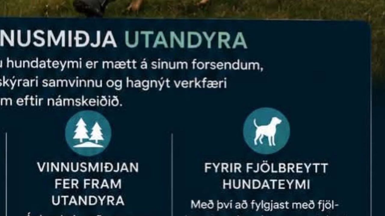 Námskeið og einkatímar