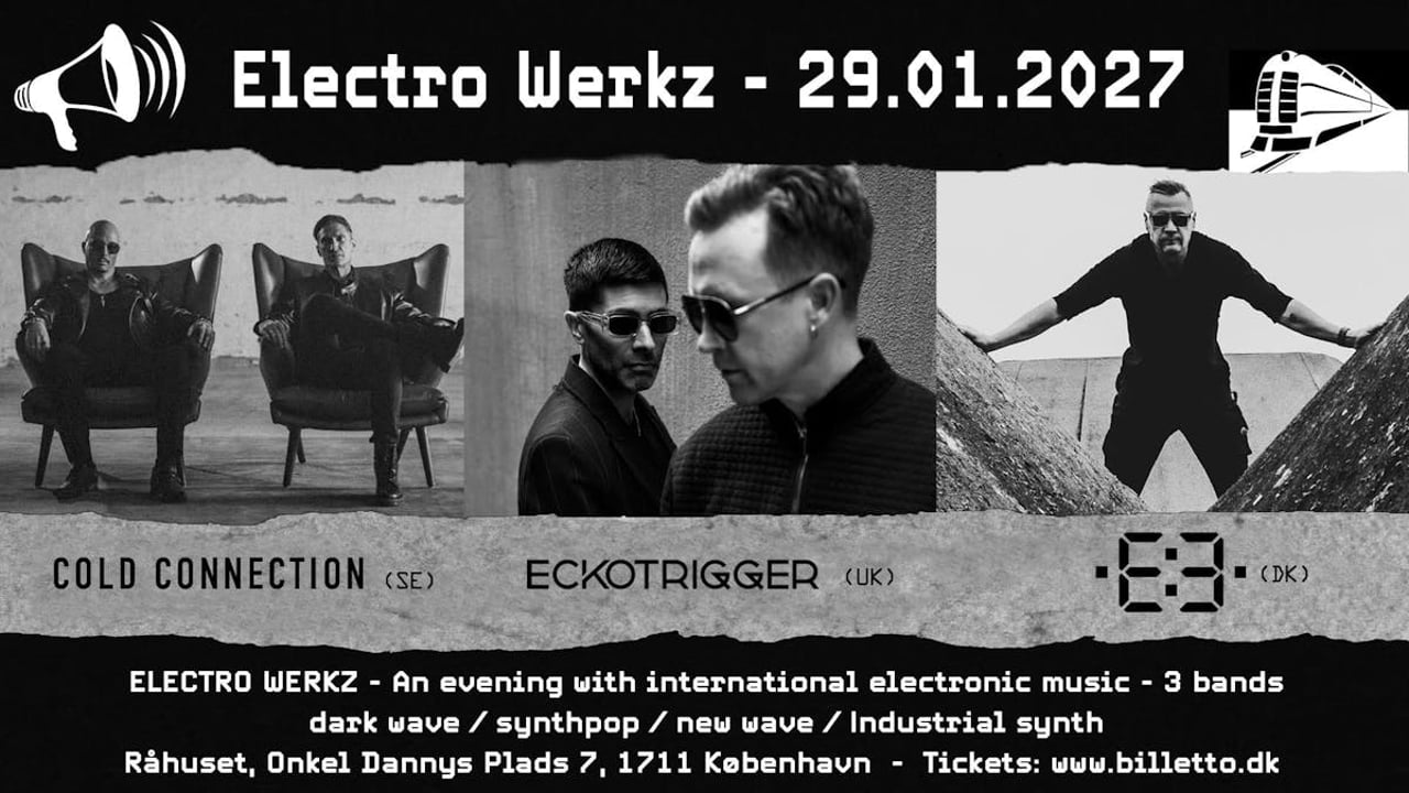 Electro Werkz