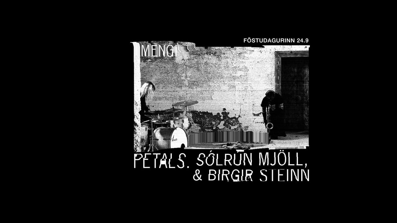 petals, Sólrún Mjöll, Birgir Steinn