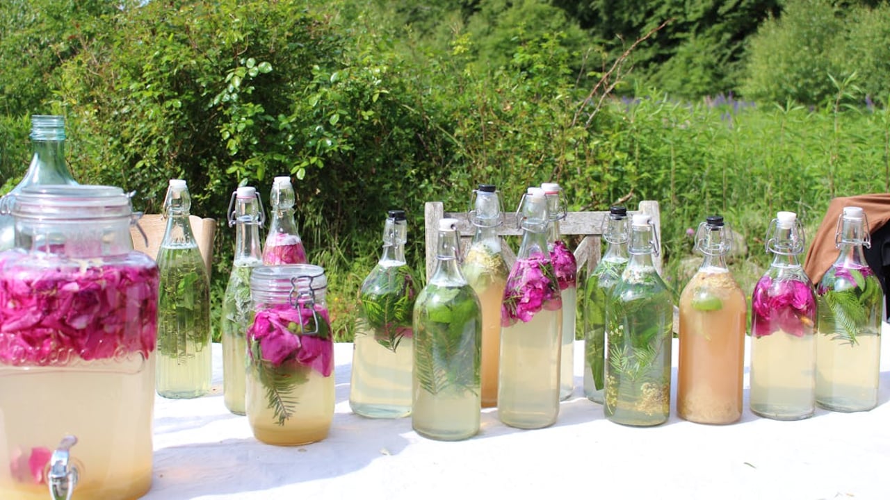 Vild fermentering
