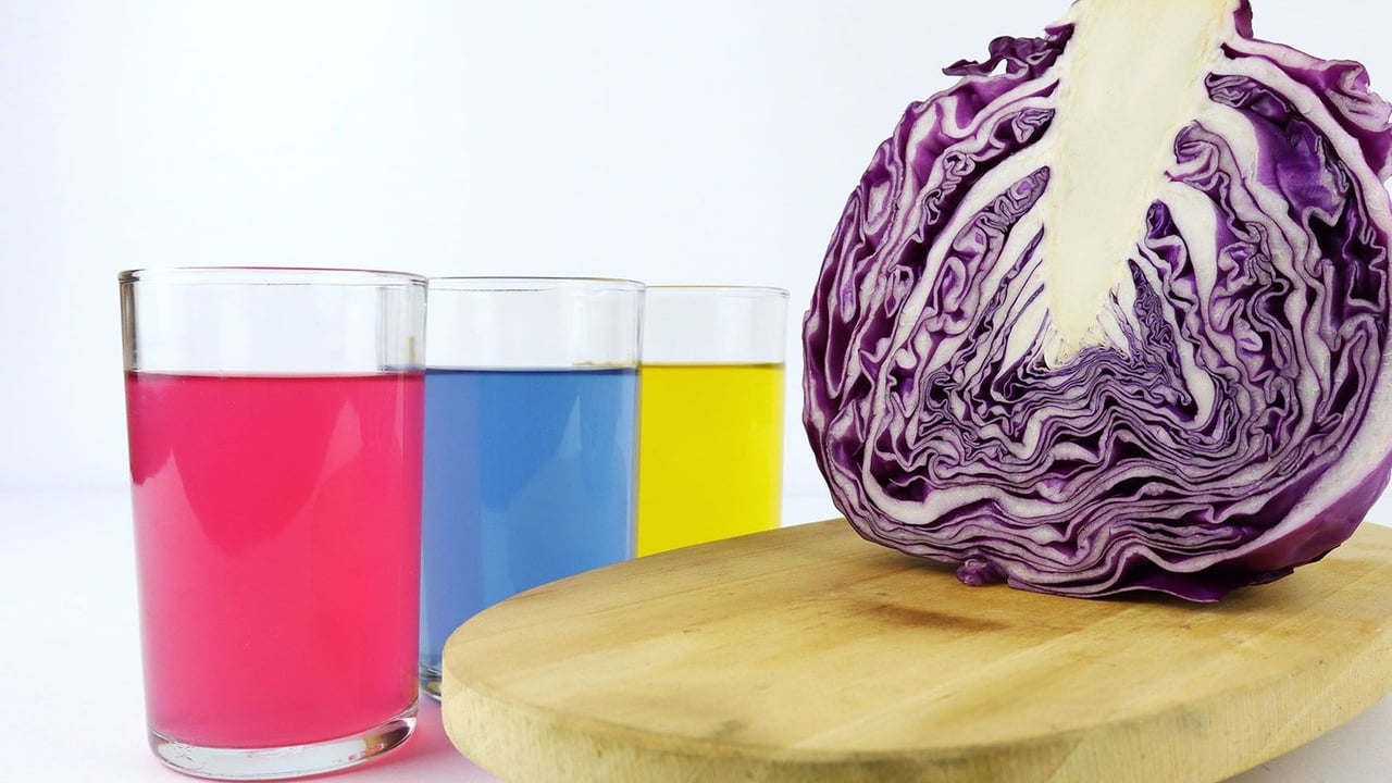 Experiments and Lava Lamp Making