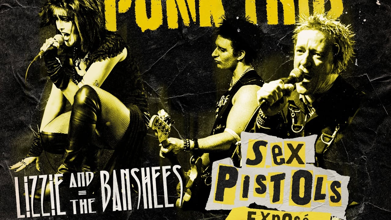 PUNK TRIB: Sex Pistols Exposé/ Lizzie & The Banshees/ The Clashed/ We’ll be Damned - DERBY