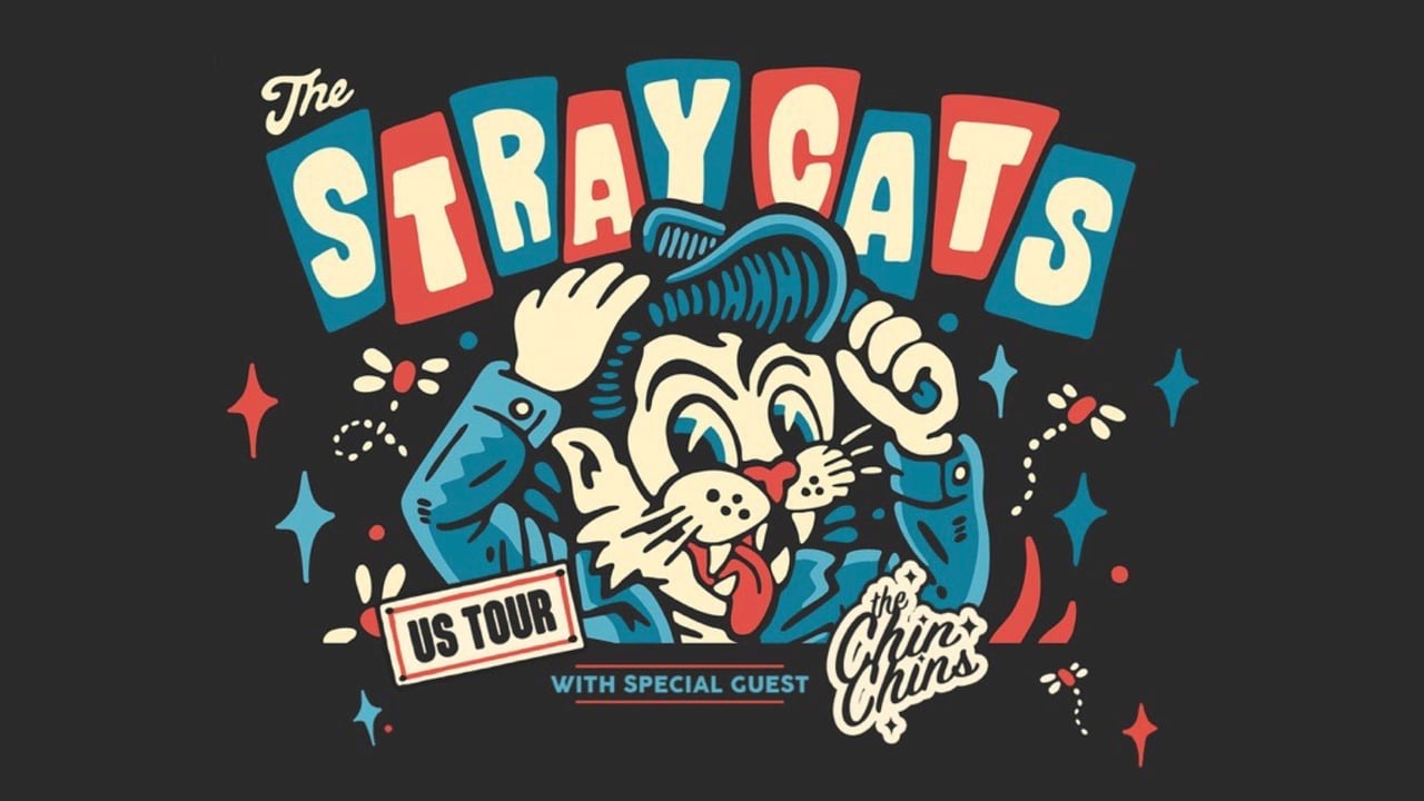 THE STRAY CATS
