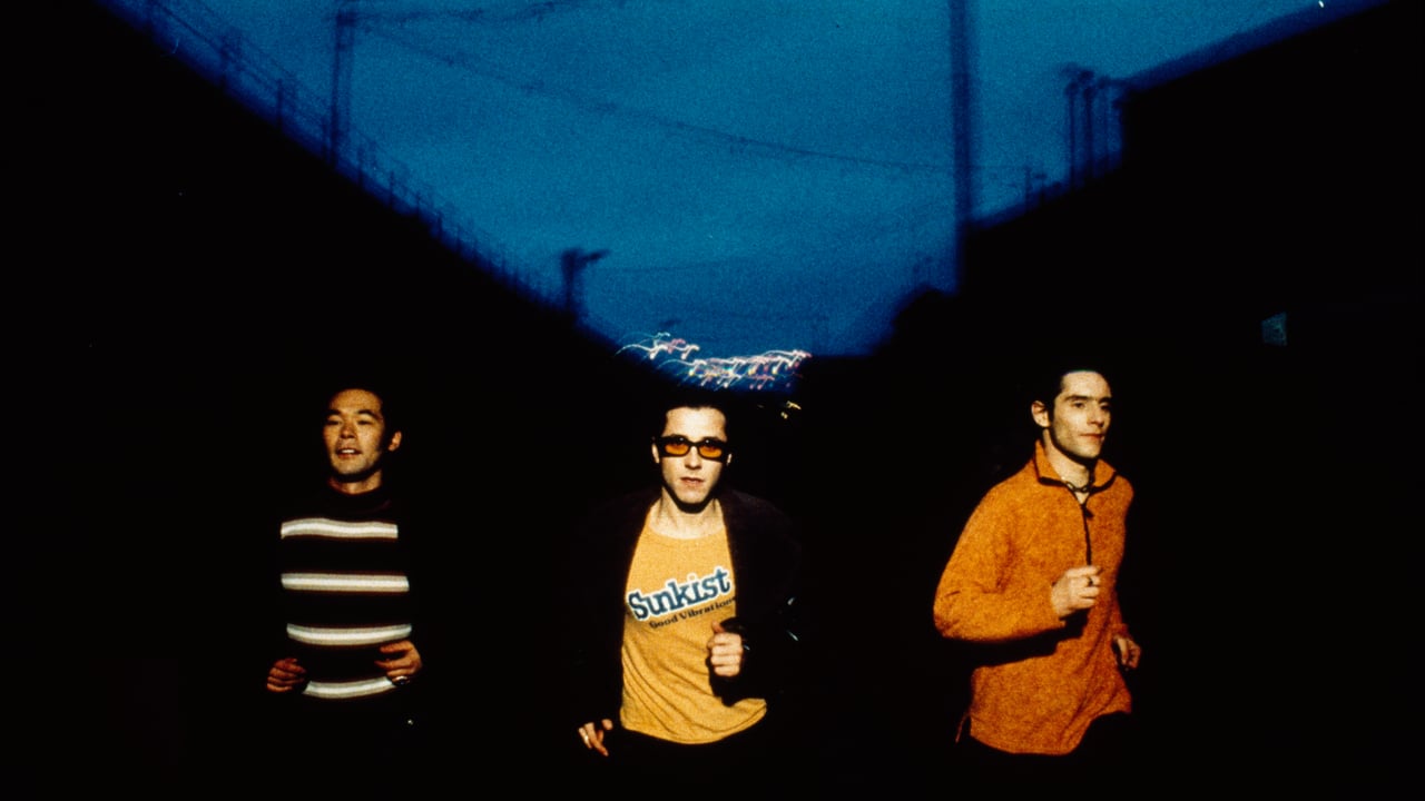 Feeder - Polythene Live
