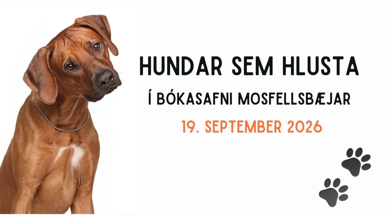 Hundar sem hlusta í Bókasafni Mosfellsbæjar