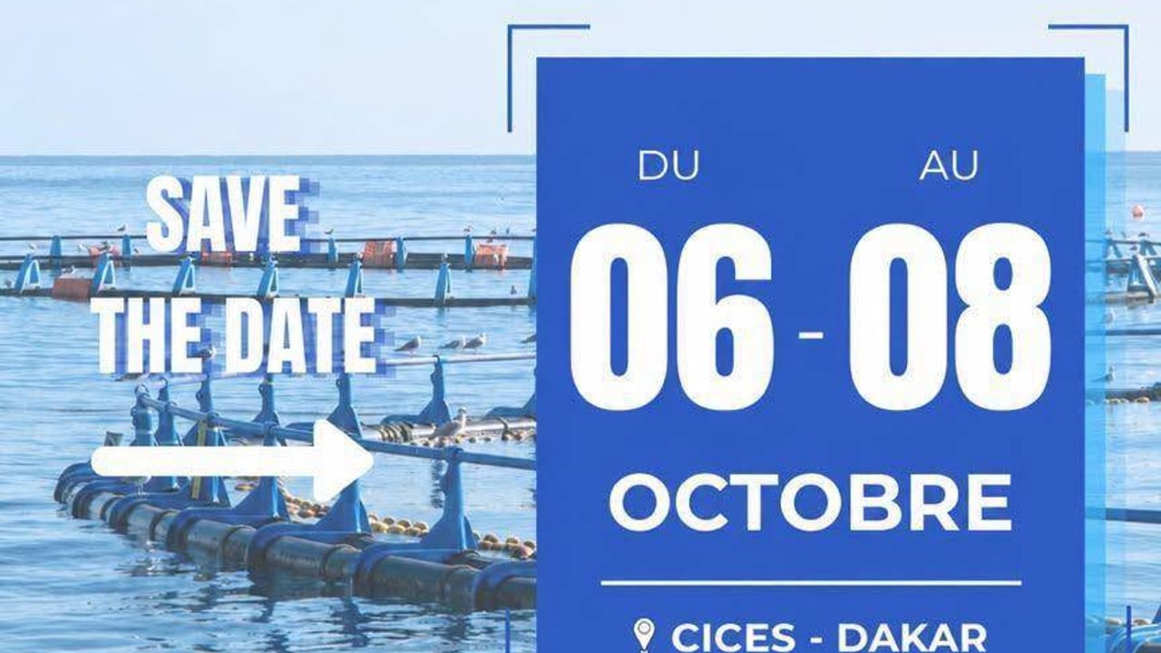 Salon International de l'Aquaculture (SIAq-Dakar-2026  )