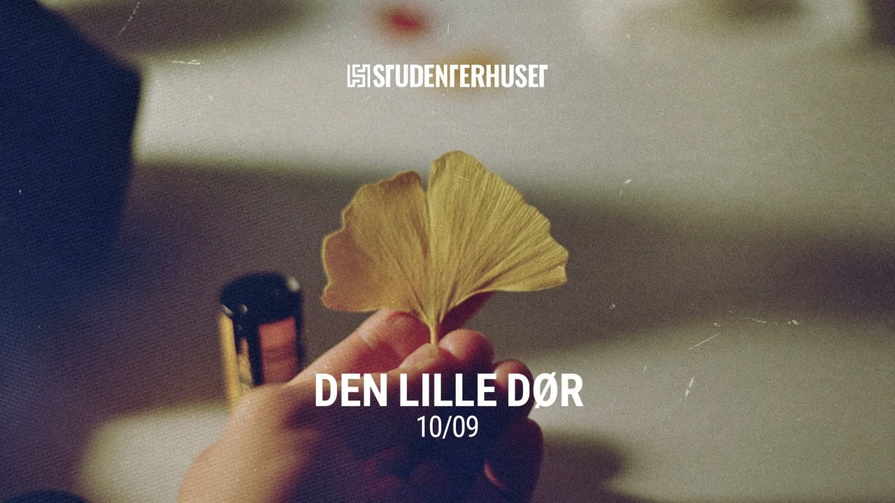 Den Lille Dør // Studenterhuset, Aalborg