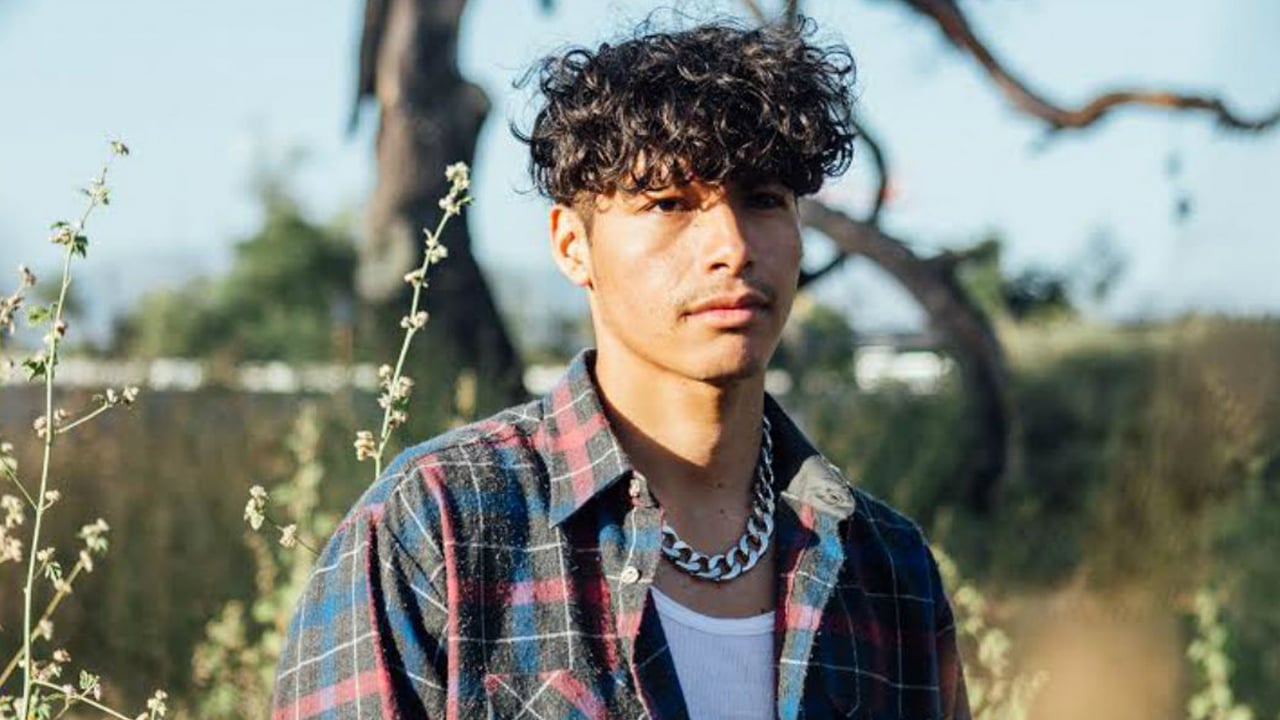 A.CHAL - CHOLOGANTE
