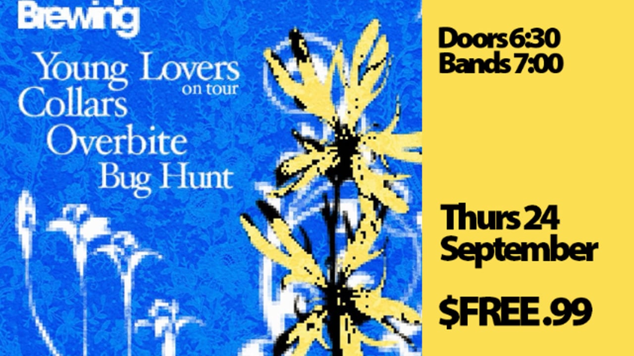 FREE SHOW: YOUNG LOVERS / COLLARS / OVERBITE / BIG HUNT