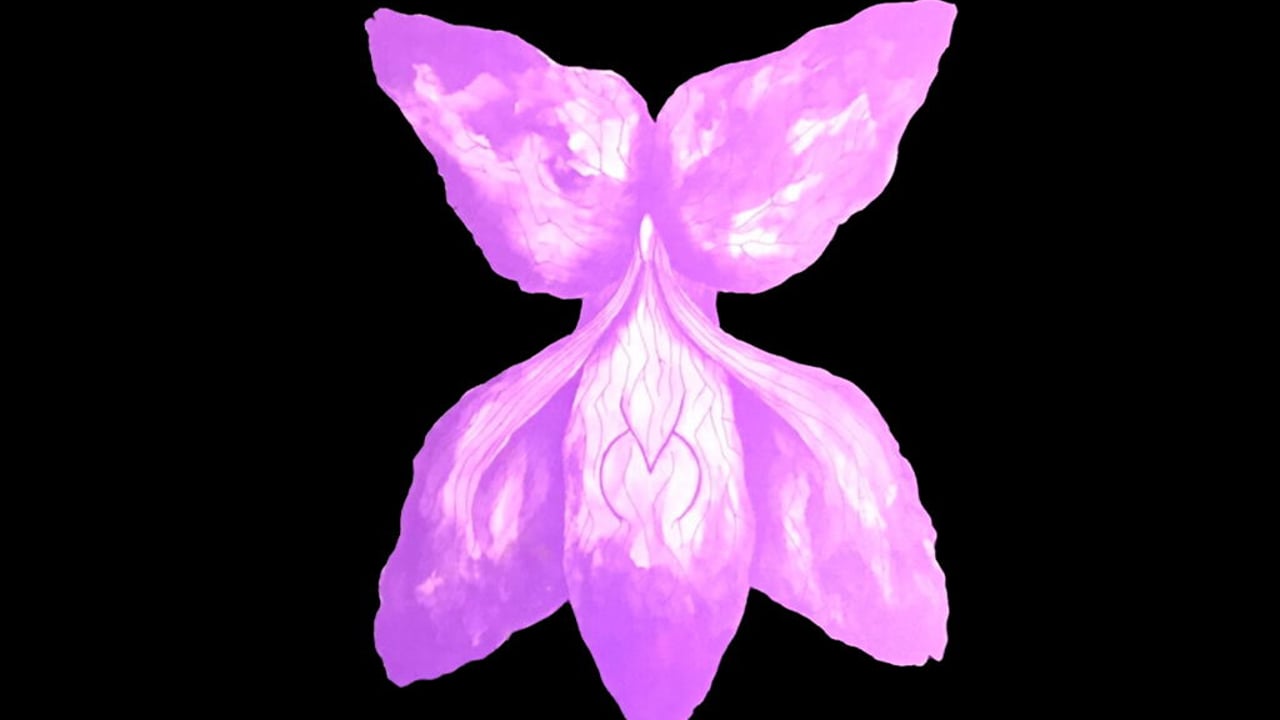 The March Violets - Unnatural History Tour Pt2