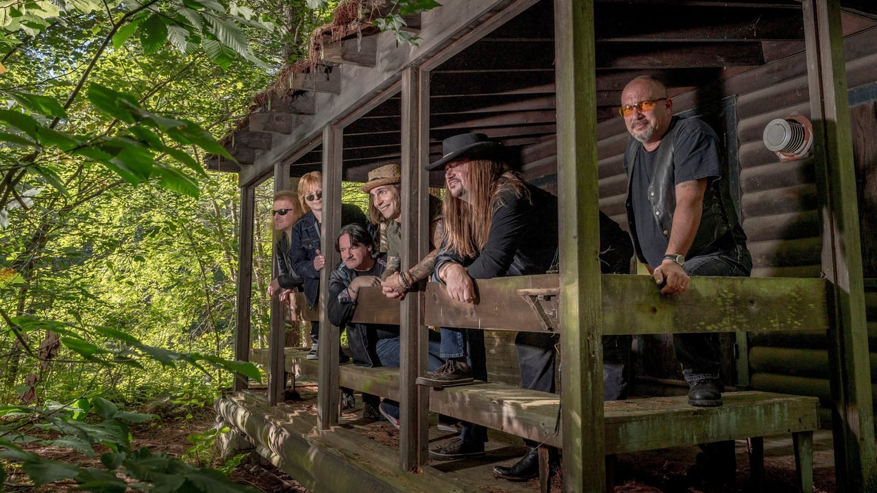 Vyntyge Skynyrd/ Whammer Jammer