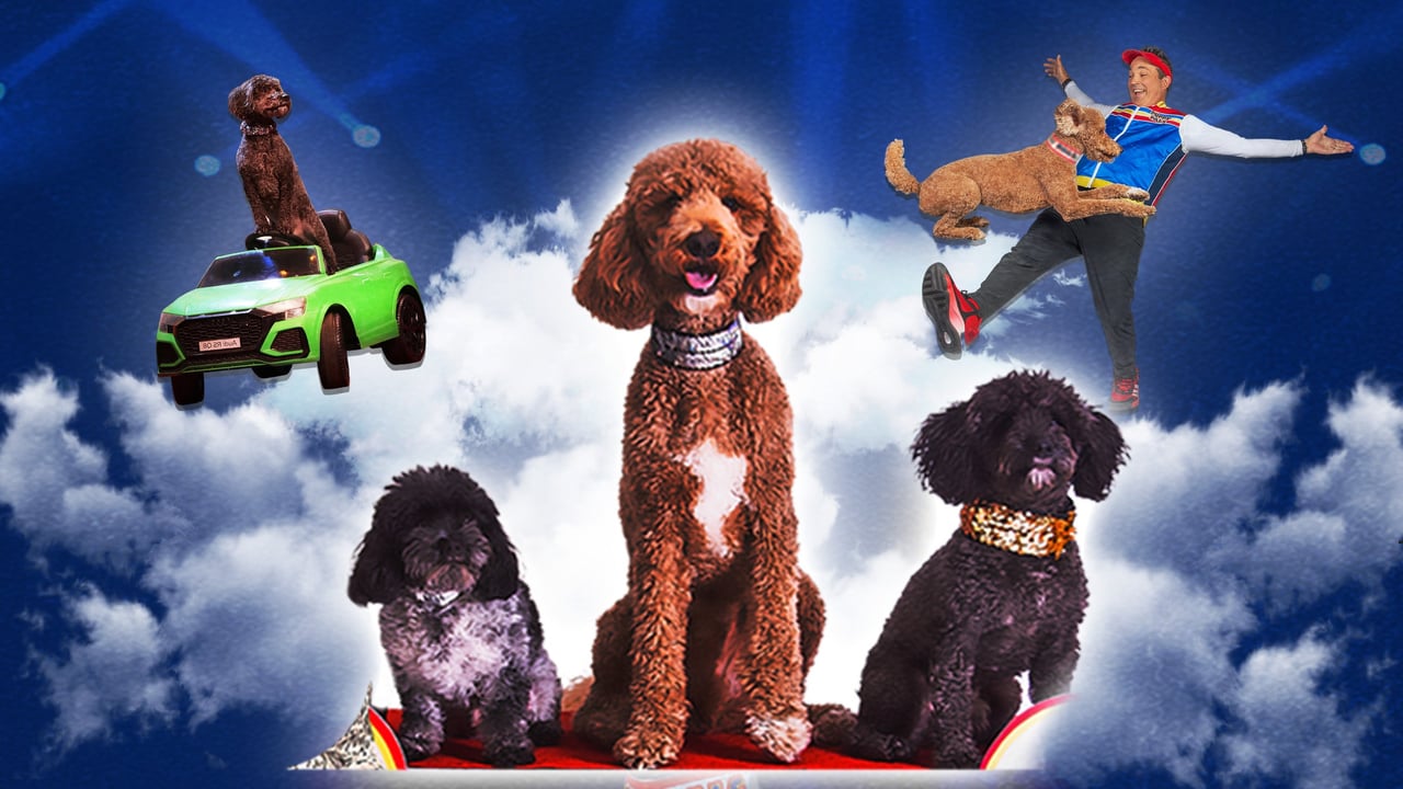 Puppy Pals Live - The Action - Packed Comedic Stunt Dog Show