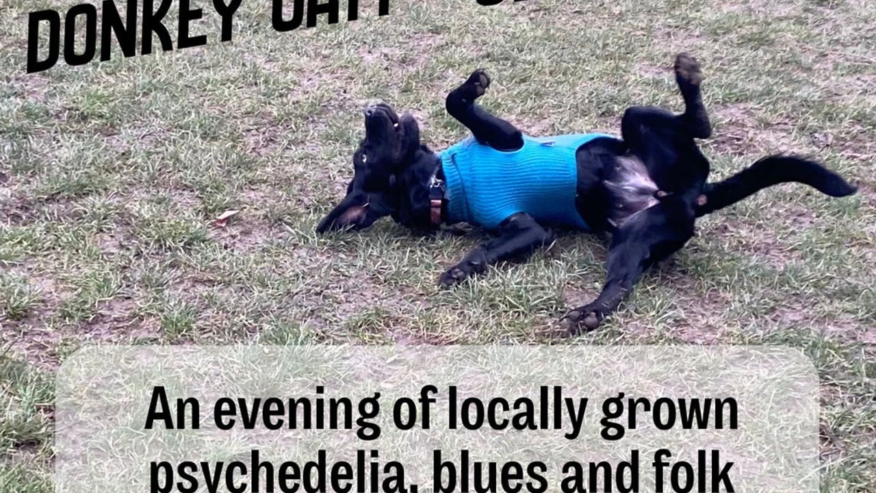 Mind Frog + Donkey Oaty + Glossolalia