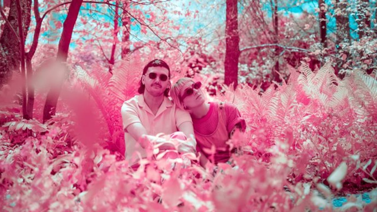 Pink Halo: 'Daydream' Album Release Show
