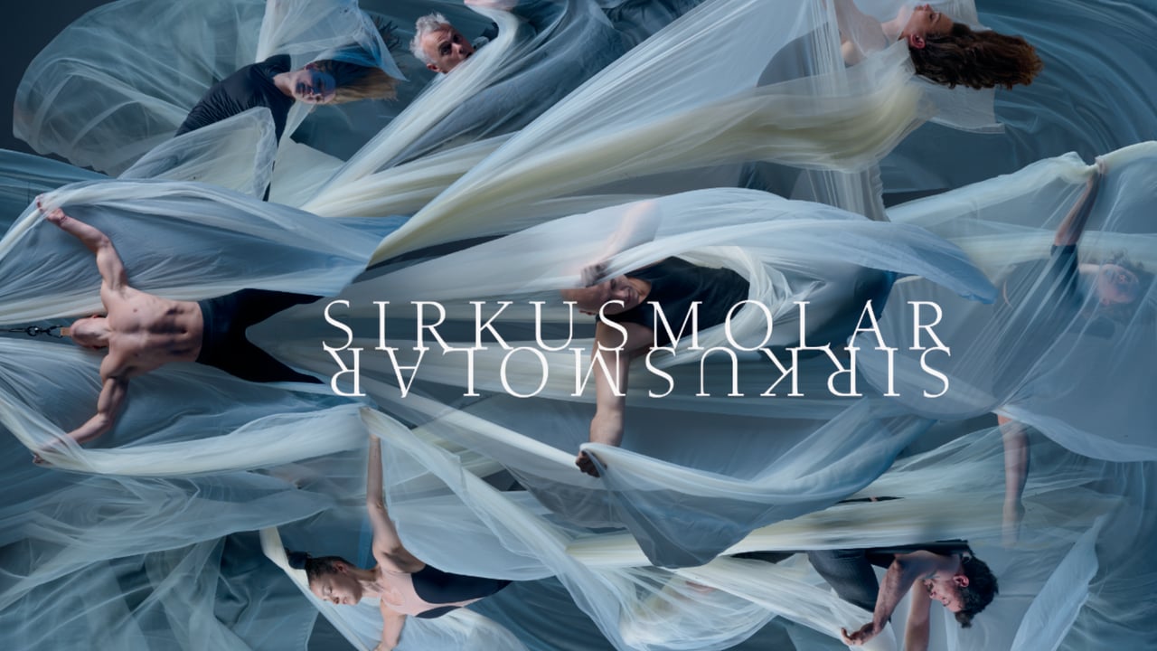 Sirkusmolar II