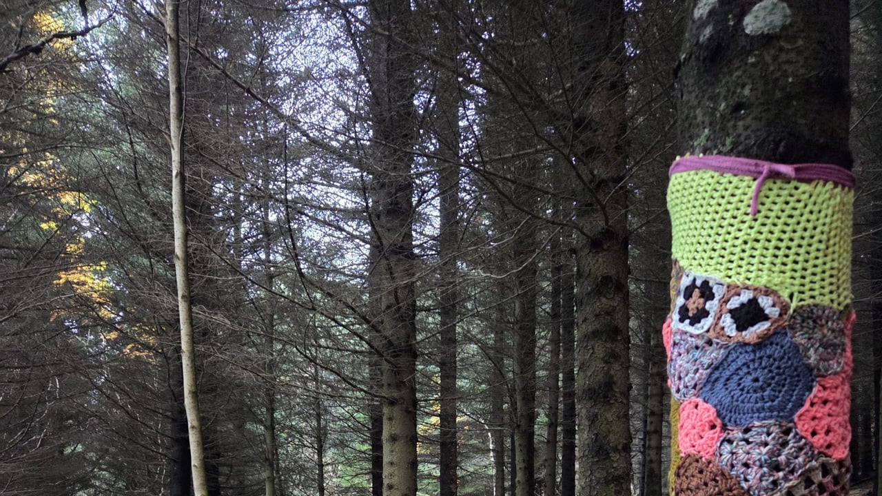 Garngraff á Klambratúni