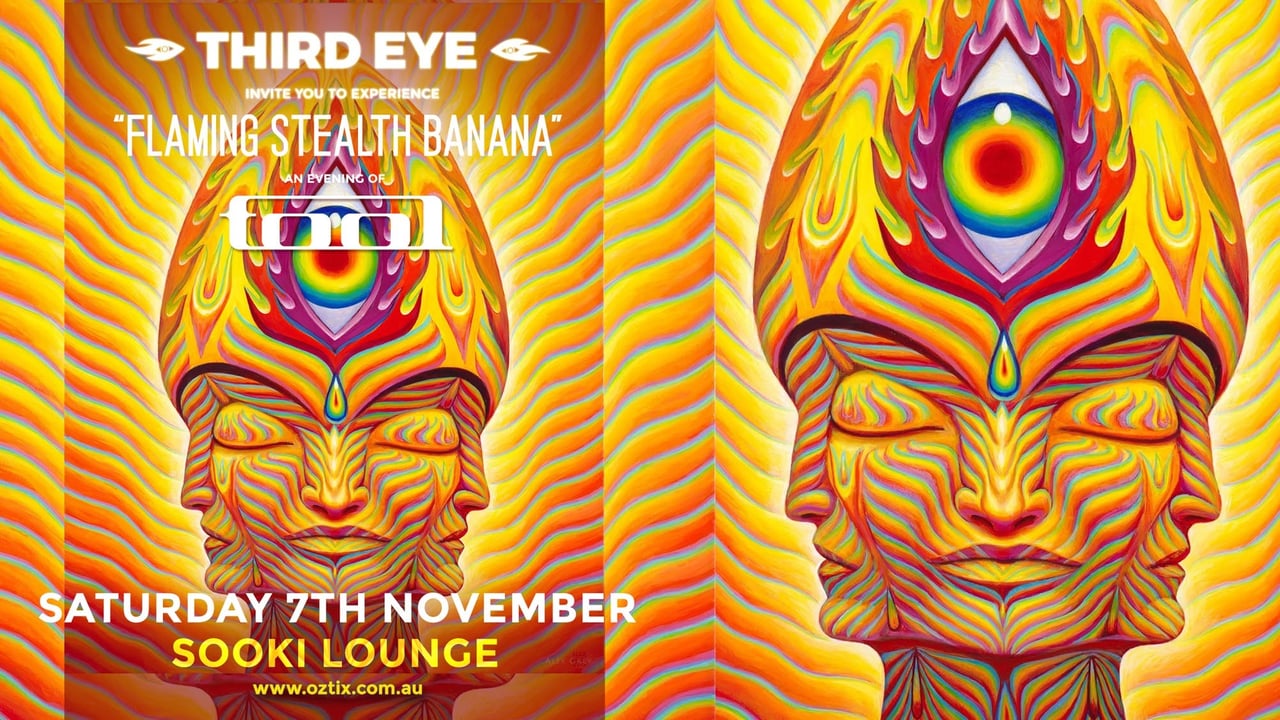 THIRD EYE present: "Flaming Stealth Banana" - an evening of TOOL