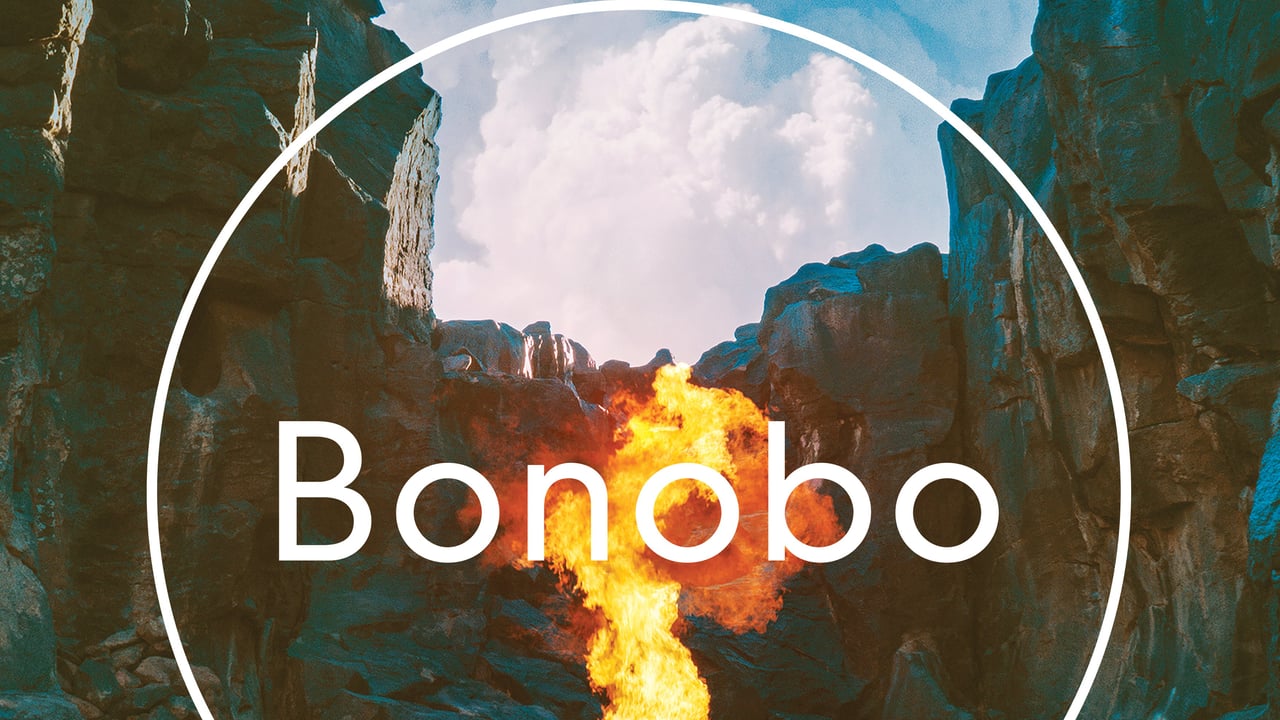 BONOBO