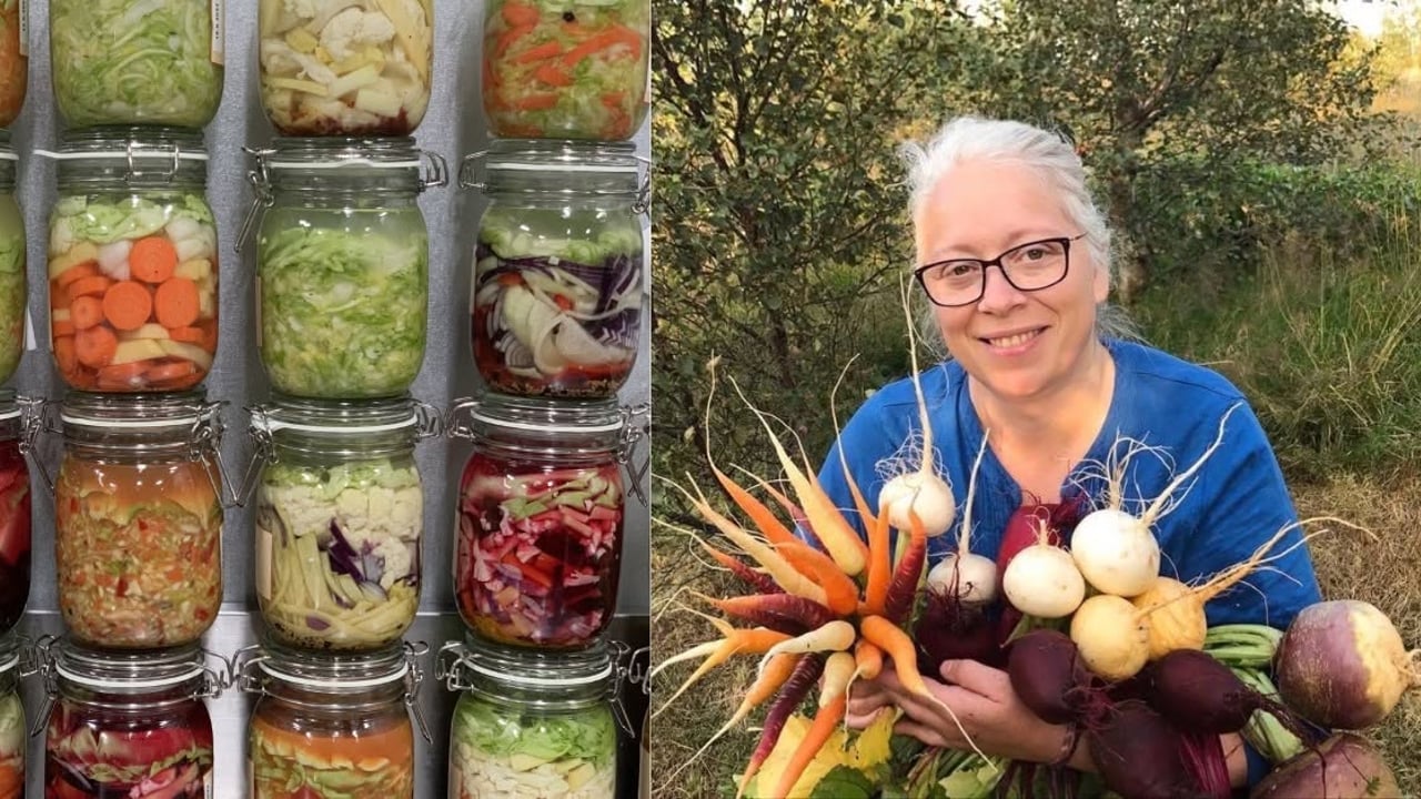 Súrkál í öll mál! Hollusta, fróðleikur og fjör með Dagný Hermannsdóttur